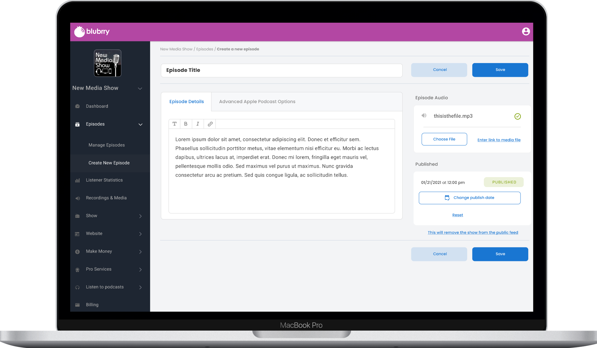 Episode Editor — Structured Layout with Audio Management